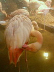 200603022228000.jpg